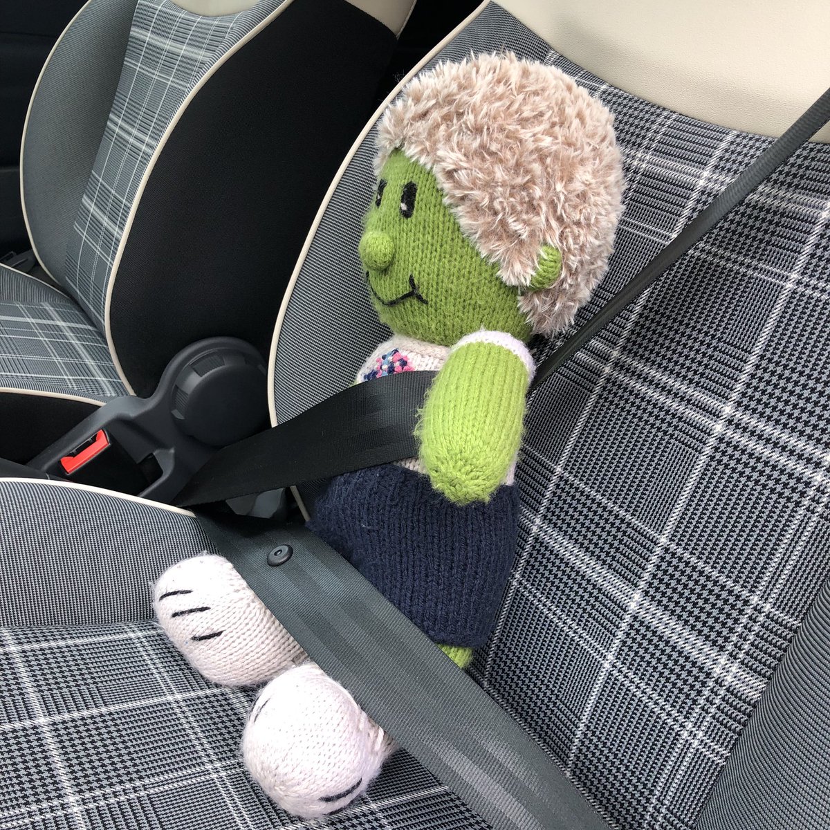 lincslibraries's tweet photo. GiseLLe is all strapped in and ready for her journey to our @Better_UK leisure centre partners at #OneNK https://t.co/P6tXxjPgXo