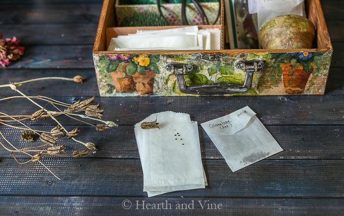 hearthandvine's tweet image. Seed Libraries, Seed Swaps &amp;amp; Seed Saving hearthandvine.com/seed-libraries… #savingseeds #seedswaps #seedlibraries