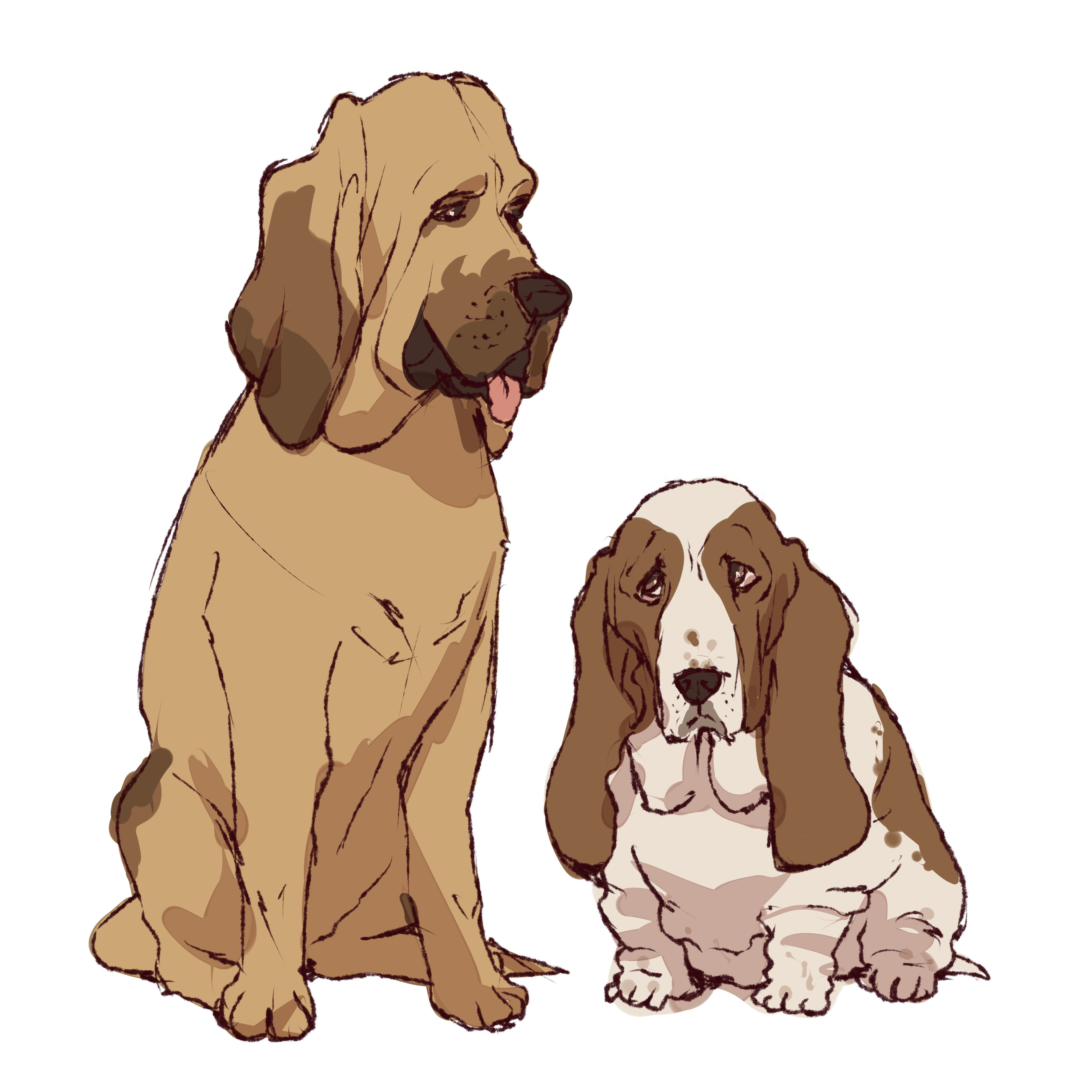 そこに犬がいる わんわん物語のブラッドハウンドの子を バセットハウンドと勘違いしてたのが長かったから ついつい大きい犬と思っちゃう T Co Lrddmhlggh Twitter