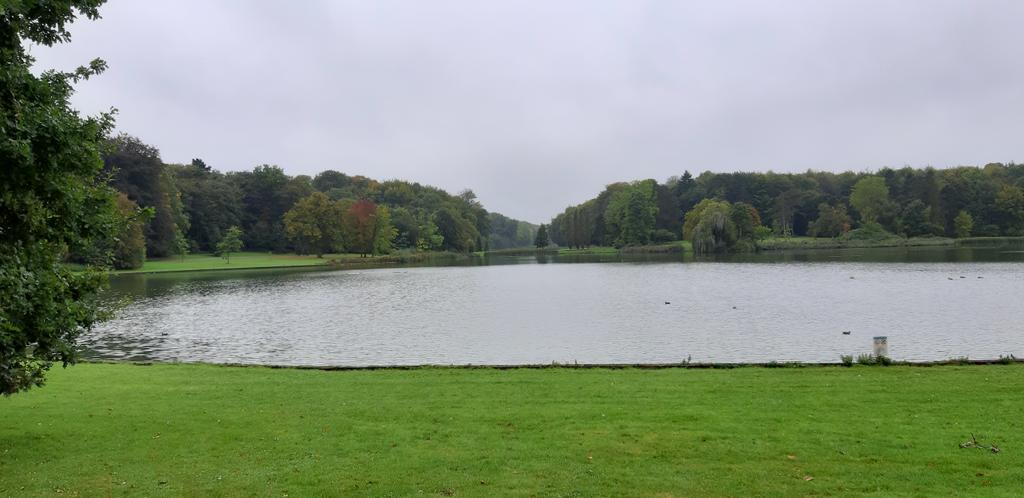 De #blauwalg besmetting in #Vossemvijver in het #ParkvanTervuren is verdwenen.  Vanaf vandaag mag er opnieuw gevist worden. #deboswachters  #groenerand #sportvisserijVL #visittervuren