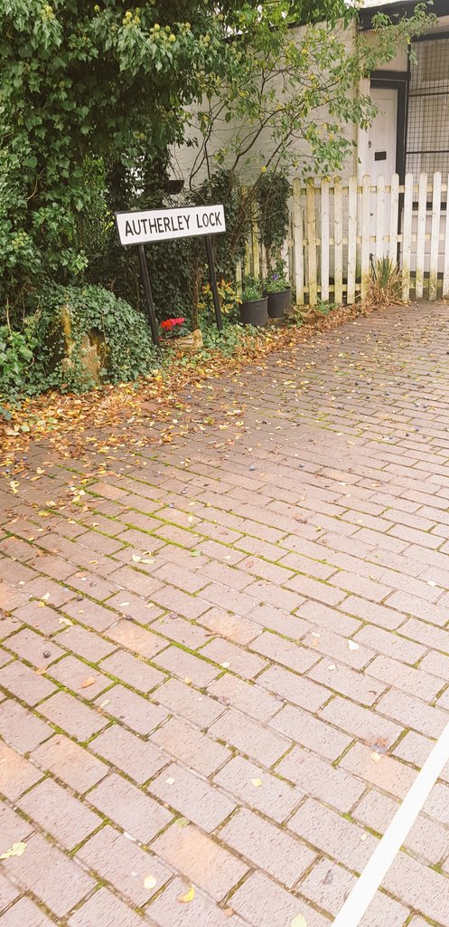 Jack Benjamin tweet media