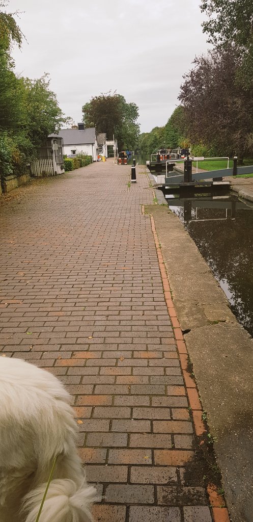 Jack Benjamin tweet media