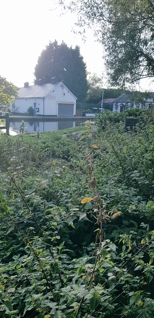 Jack Benjamin tweet media