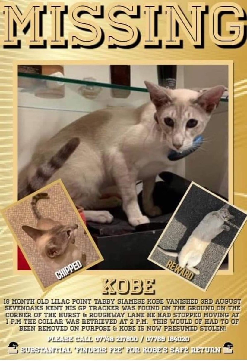 I'm KOBE. Please could I ask you to help me? My mum cries every morning & night. I have little people at home who love me & a big sister I miss so much. I don't know where I am & how to get home. I lived in a place called Sevenoaks. If you see me can you tell my mum where I am?