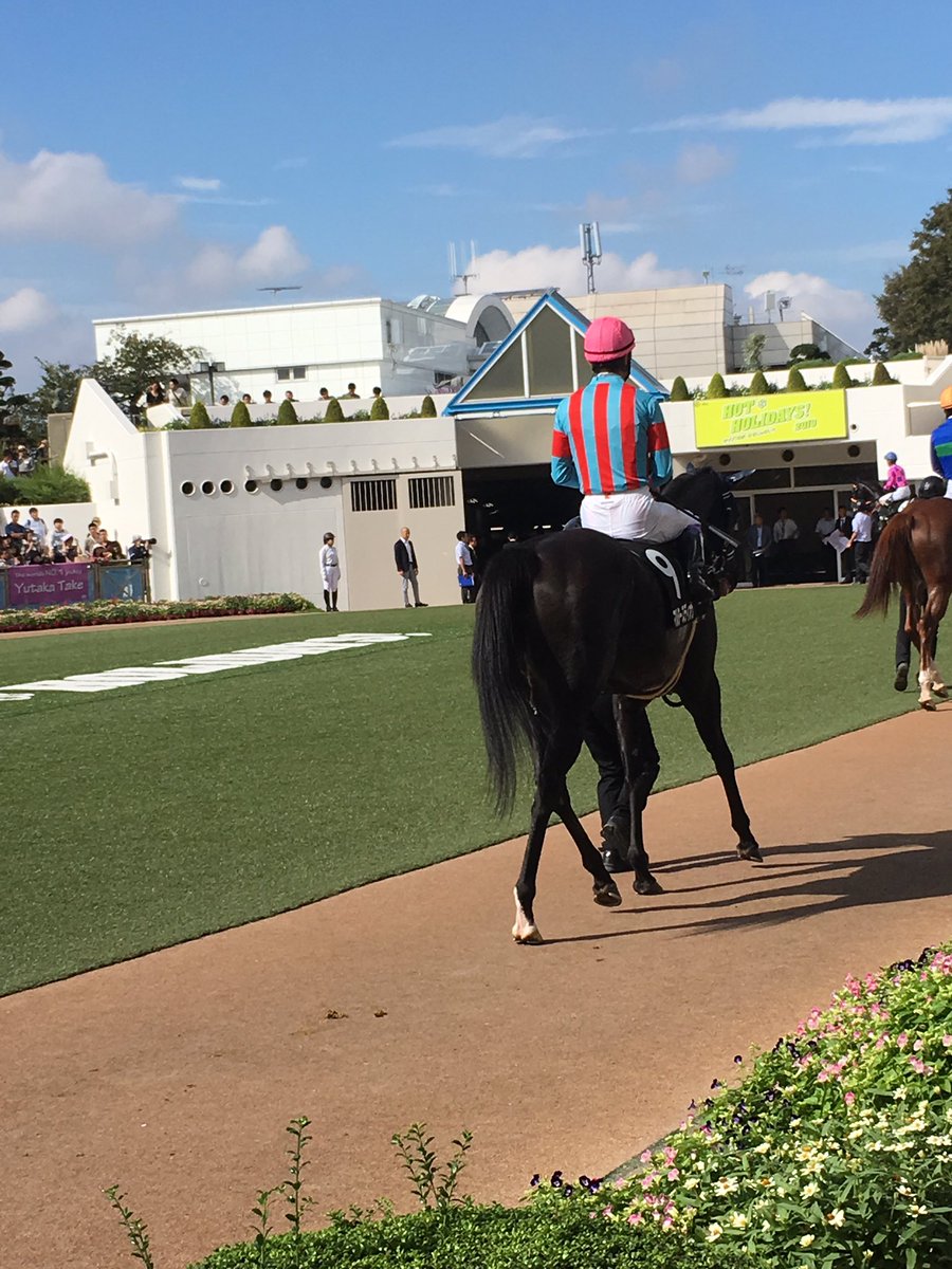 サフラン賞 Twitter Search