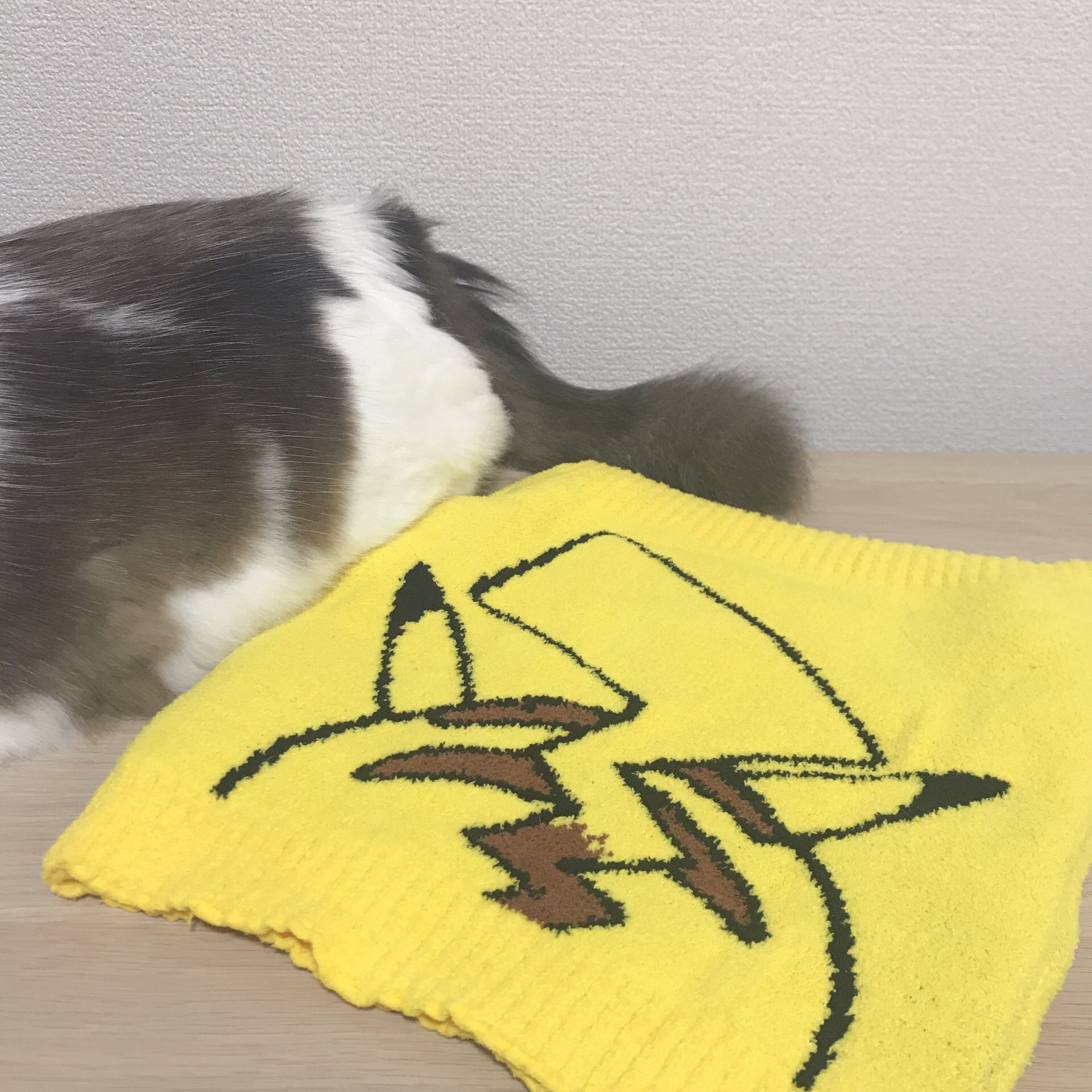 ねこいろ しまむらのピカチュウ腹巻 裏のデザインもかわいすぎます T Co Llz312foc2 ポケモン