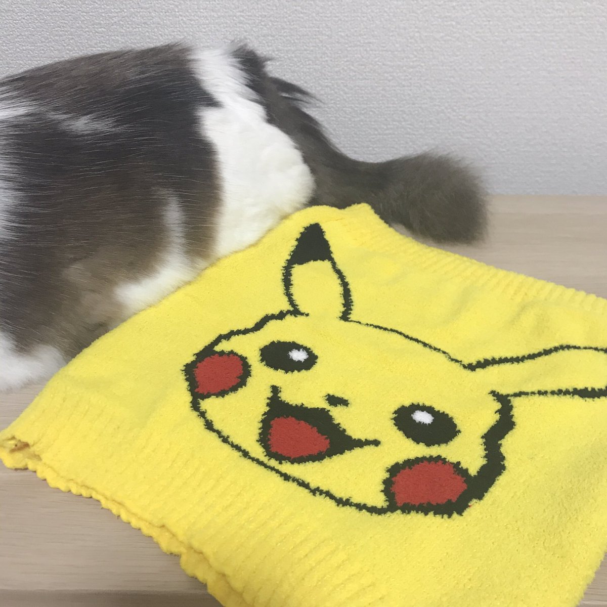 ねこいろ しまむらのピカチュウ腹巻 裏のデザインもかわいすぎます T Co Llz312foc2 ポケモン ねこいろ しまむらのピカチュウ腹巻 裏のデザインもかわいすぎます T Co Llz312foc2 ポケモン