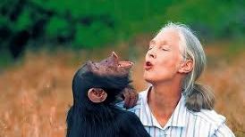 maison_common's tweet photo. Maison Common and Dr. Jane Goodall - https://t.co/AIEPdYDa7x https://t.co/u6tUg4SUe4