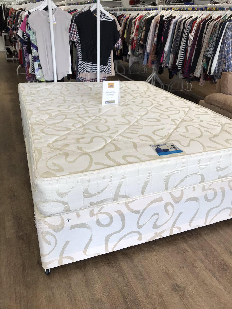 Cats Protection Crow Road tweet media