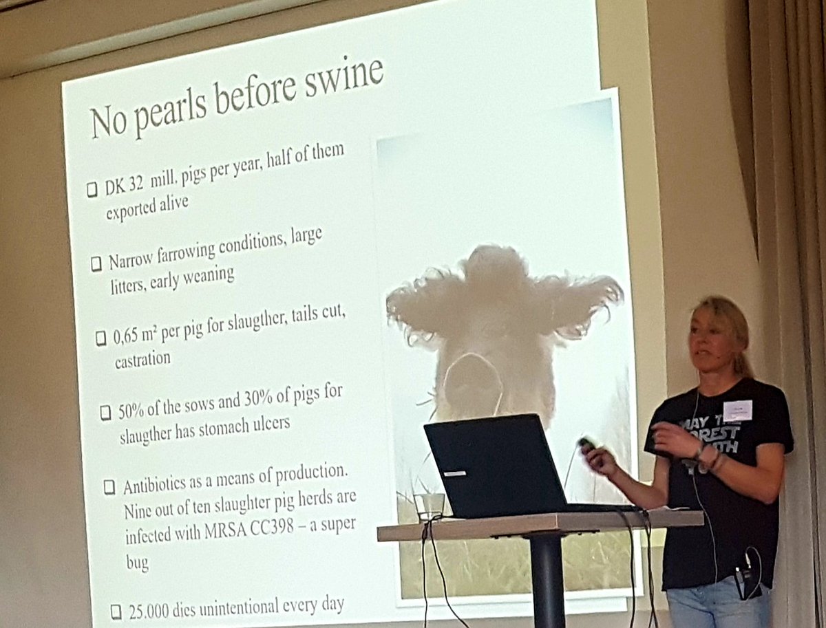 DyrsForsvar's tweet photo. "Every day 25,000 pigs die unintentionally in Denmark. That is over 9 million per year. I would say that they are the lucky ones."
Very harsh numbers and a confronting presentation by @LoneLandmand. #MAP19 https://t.co/PEyPdGpU6h