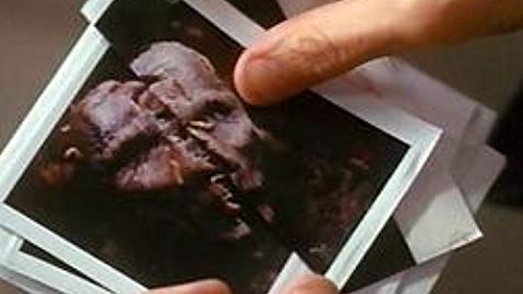 RetroMovieGeek's tweet photo. #2019SpookyFlixFest #teaser #RetroMovieGeek #podcast #polaroids #face #90smovies #talkingaboutthemoviesyougrewupwith #SpookyFlixFest #comingsoon #moviepodcast #scifihorror #Mimic #upcomingepisode #SpookyFlixFest2019 #horror #GuillermoDelToro #giantinsects #geneticallyaltered https://t.co/gTTWX3jK8Z