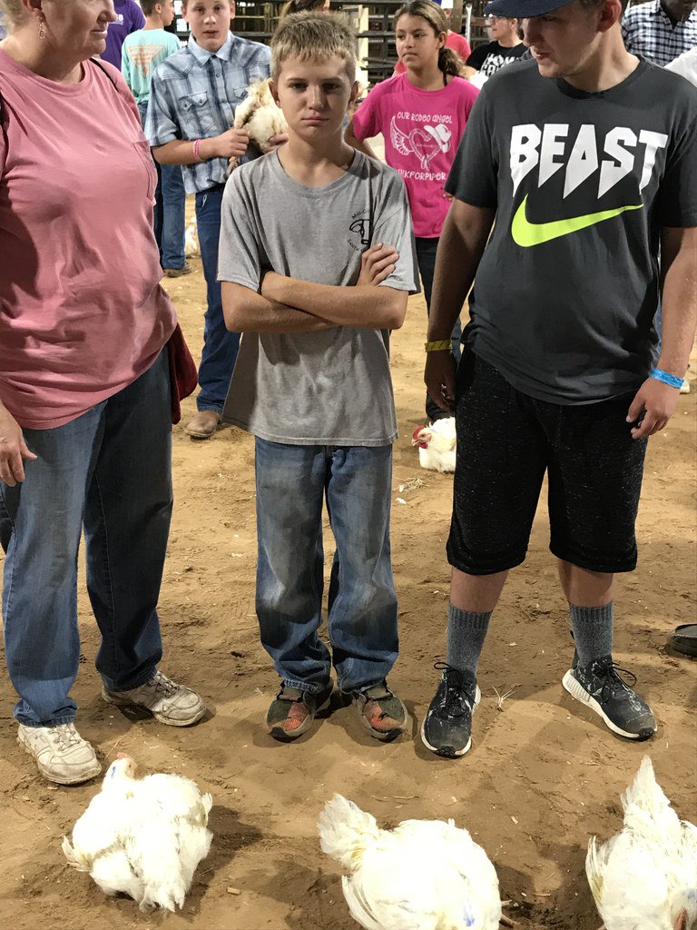SnookISD's tweet photo. Snook FFA members had a great Poultry Show this morning. 
Jalee Baumann, Jaxson Brisco, Jaycie Brisco, Avery Kovar and Hagan Sebesta had a success show.

Snook ISD student Reese Flanagan also came away with Grand Champion Broilers!
Post 2 of 2 https://t.co/rxjgs1jbji