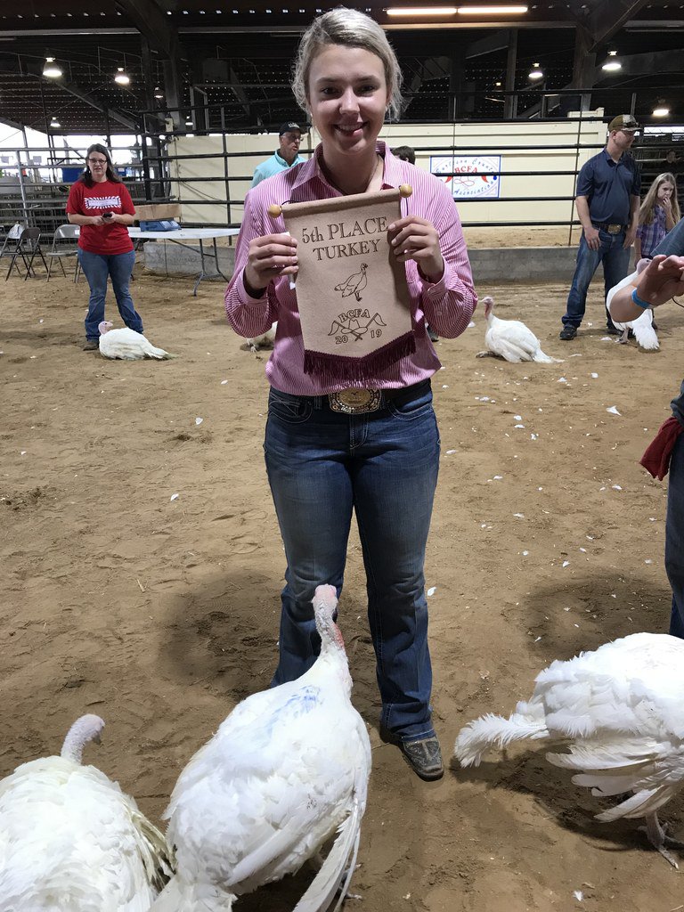SnookISD's tweet photo. Snook FFA members had a great Poultry Show this morning. 
Jalee Baumann, Jaxson Brisco, Jaycie Brisco, Avery Kovar and Hagan Sebesta had a success show.

Snook ISD student Reese Flanagan also came away with Grand Champion Broilers!
Post 2 of 2 https://t.co/rxjgs1jbji