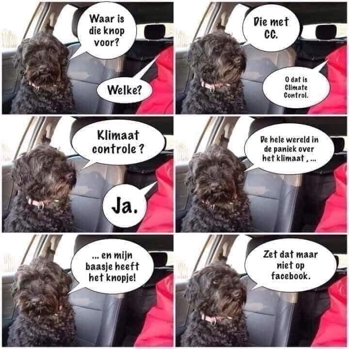 klompenmake's tweet photo. https://t.co/whs7NjEm1A