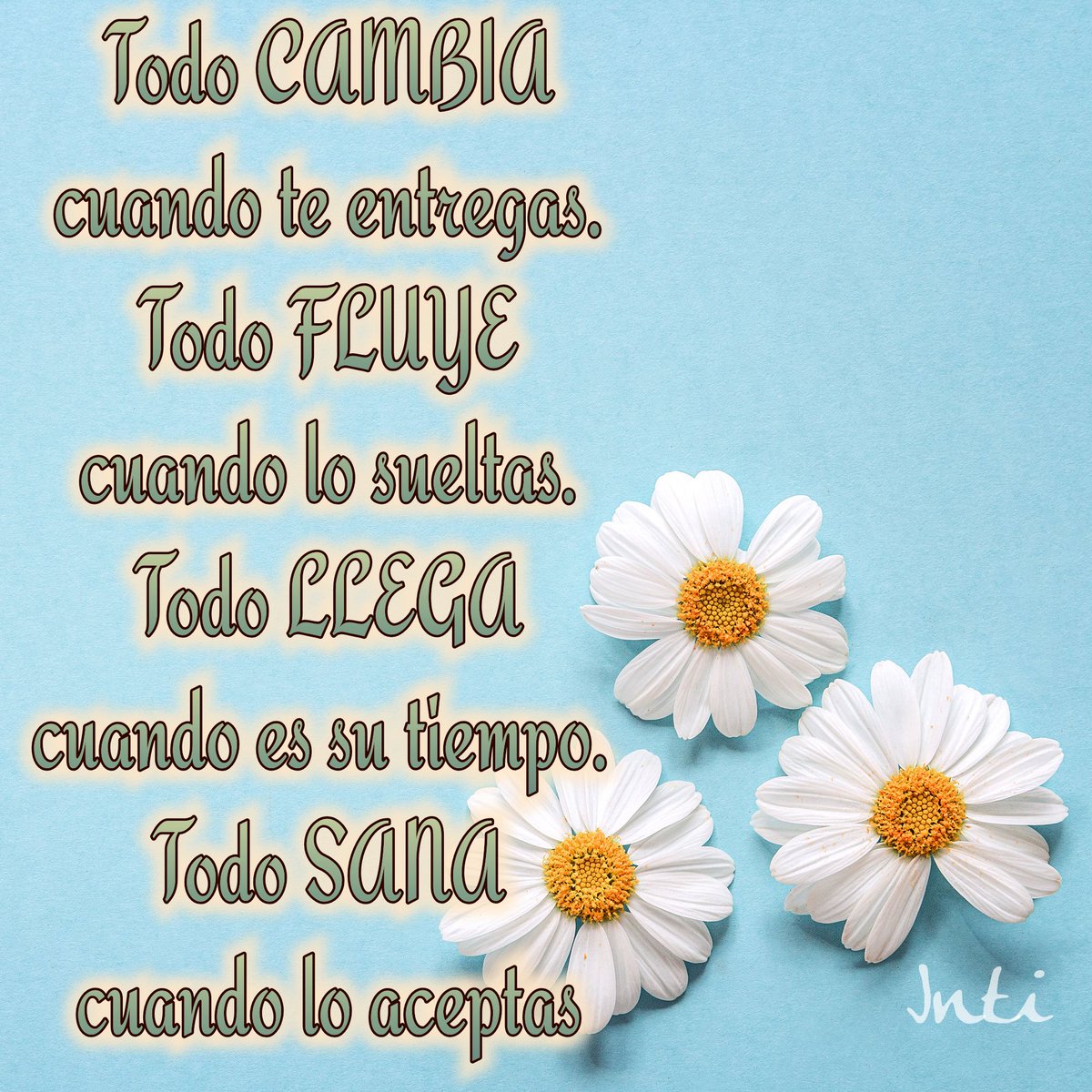 IntiFlores3's tweet photo. Es solo probar .. https://t.co/sDySy1RNKF
