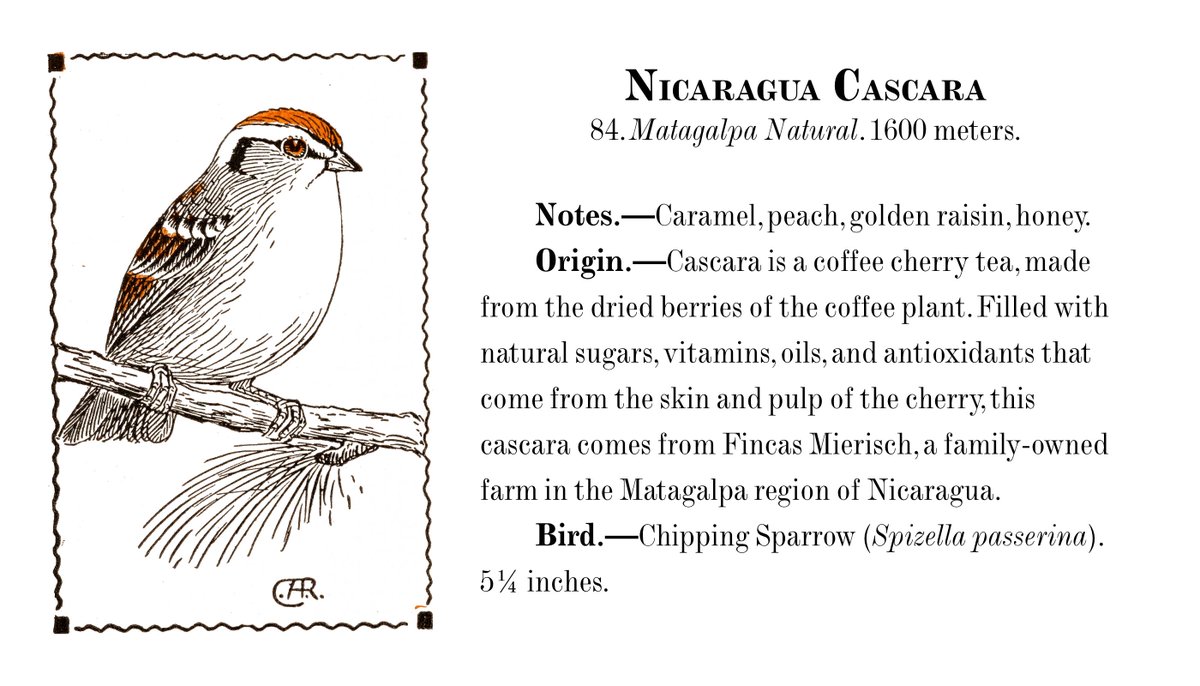 RedstartRoaster's tweet image. The new releases keep coming! Check out our first tea, a delicious Nicaraguan cascara, at the East Liberty Farmer's Market today! Is it coffee? Is it tea? You decide!