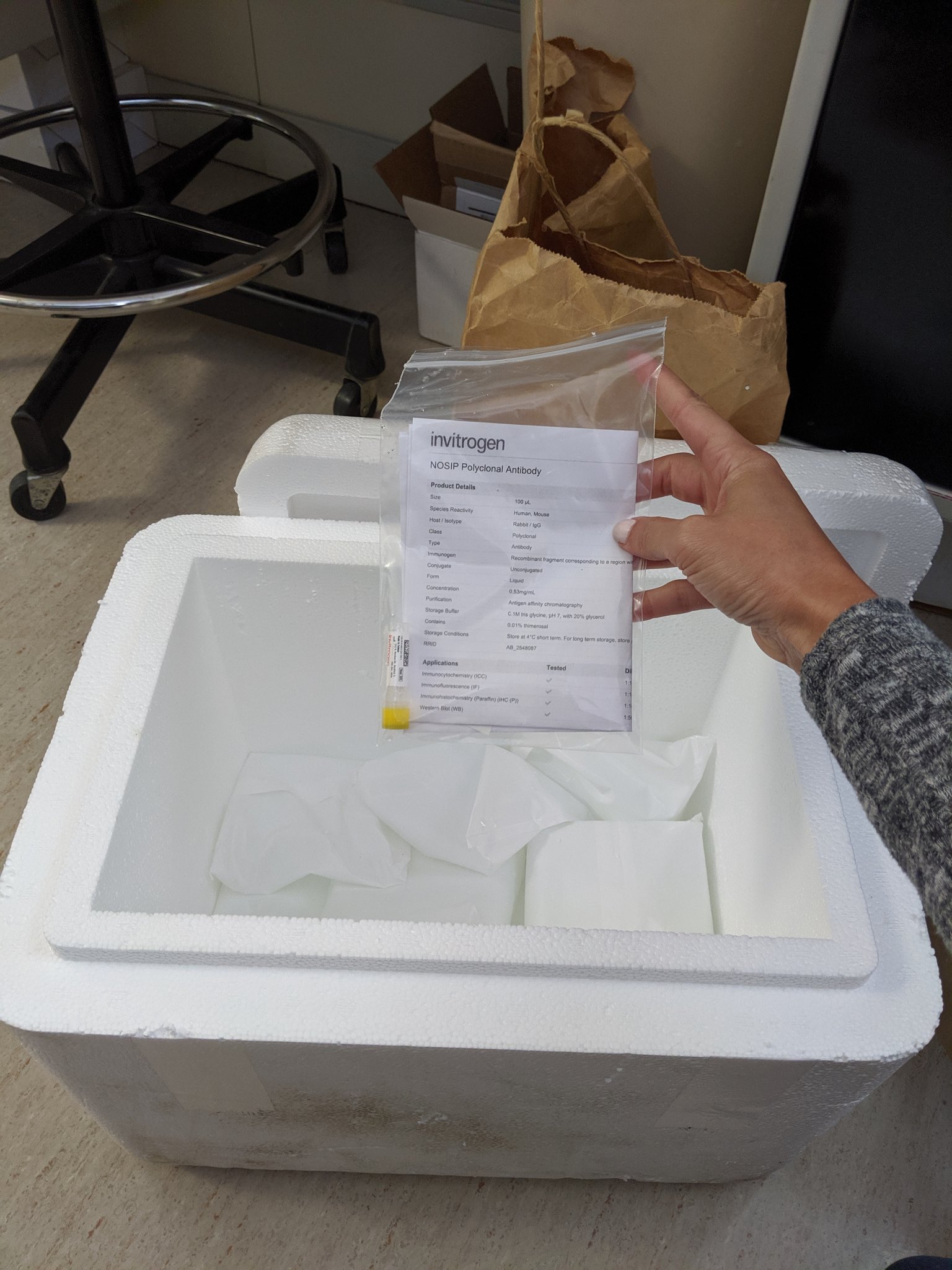 Dry ice styrofoam cooler sales