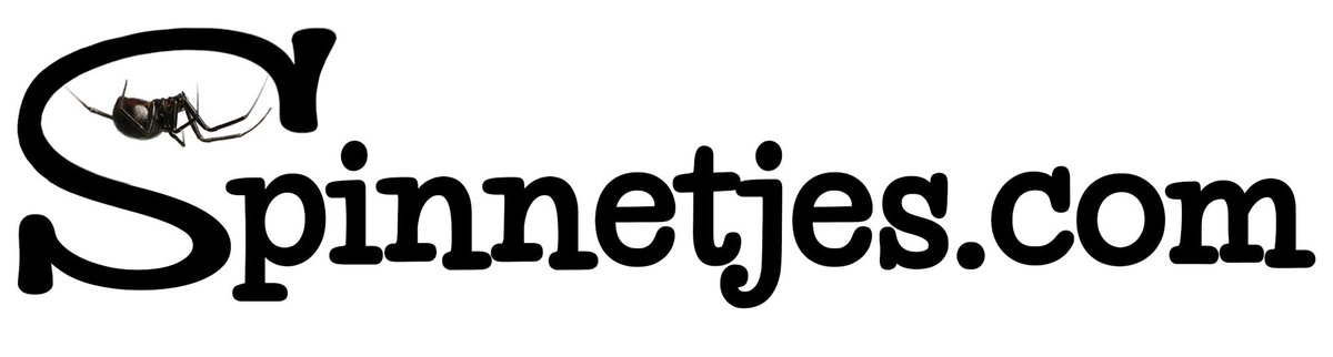 Spinnetjes`com tweet media