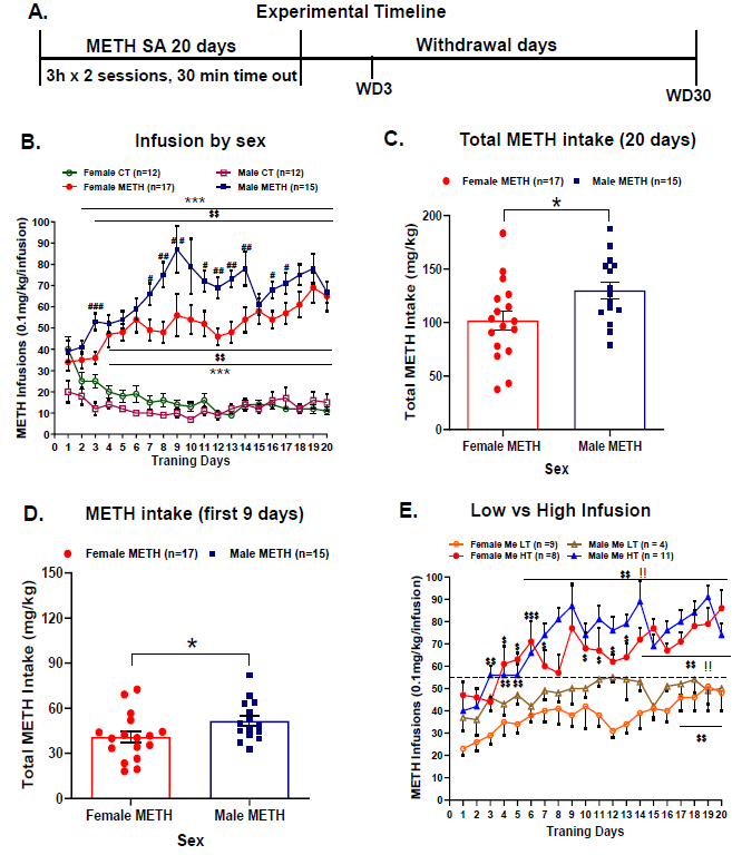 ijnp_neuropsych's tweet image. Sex differences in escalated methamphetamine self-administration and altered gene expression associated with incubation of methamphetamine seeking academic.oup.com/ijnp/advance-a…

#methamphetamine #sabv #selfadministration #addiction