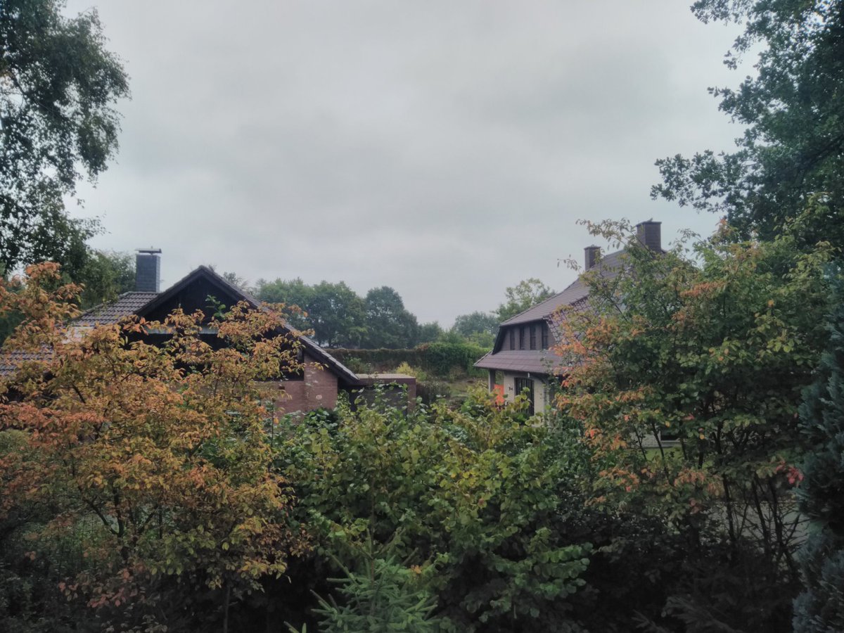 virtualtabs's tweet image. 🍃🍂