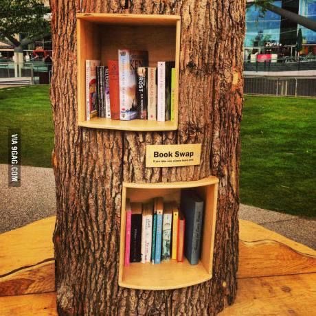 AdamDandy's tweet photo. A fab idea from @EssellCleaning for @ChesterSTrees #SuperTreesRoundabout @ShitChester #ChesterTweets maybe @StoryhouseLive could stock it with old books... @weezegee @richardbeacham @ChrisM4Chester https://t.co/Z4VymQSj5C
