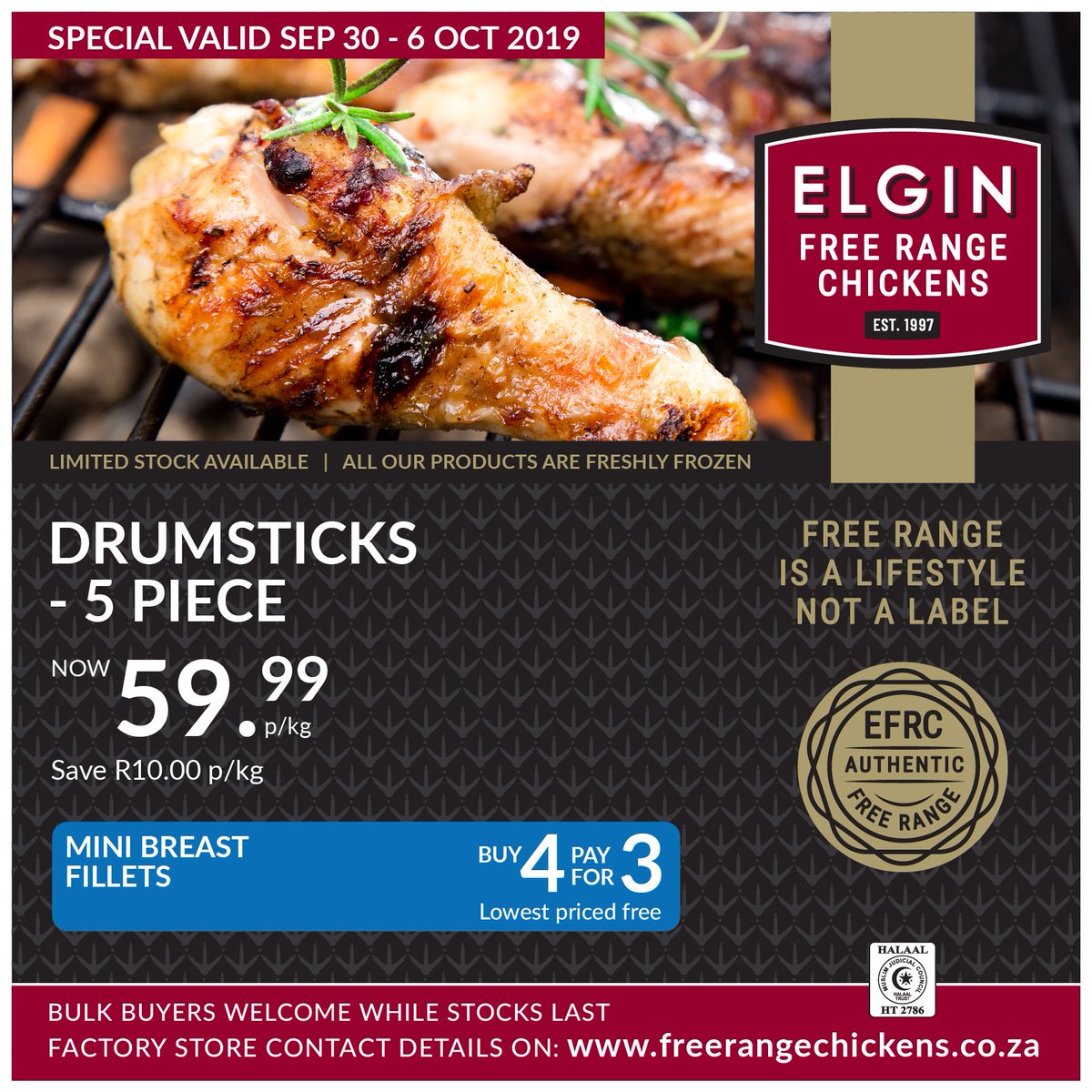 ElginTheFreeChicken tweet media