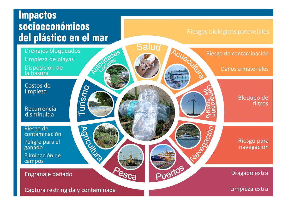 Cuando los #microplásticos llegan a los ambientes acuáticos pueden tener varios impactos negativos. #ucrpresente #microplastic #cienciasmarinas #pollutionscience #conocetuoceano