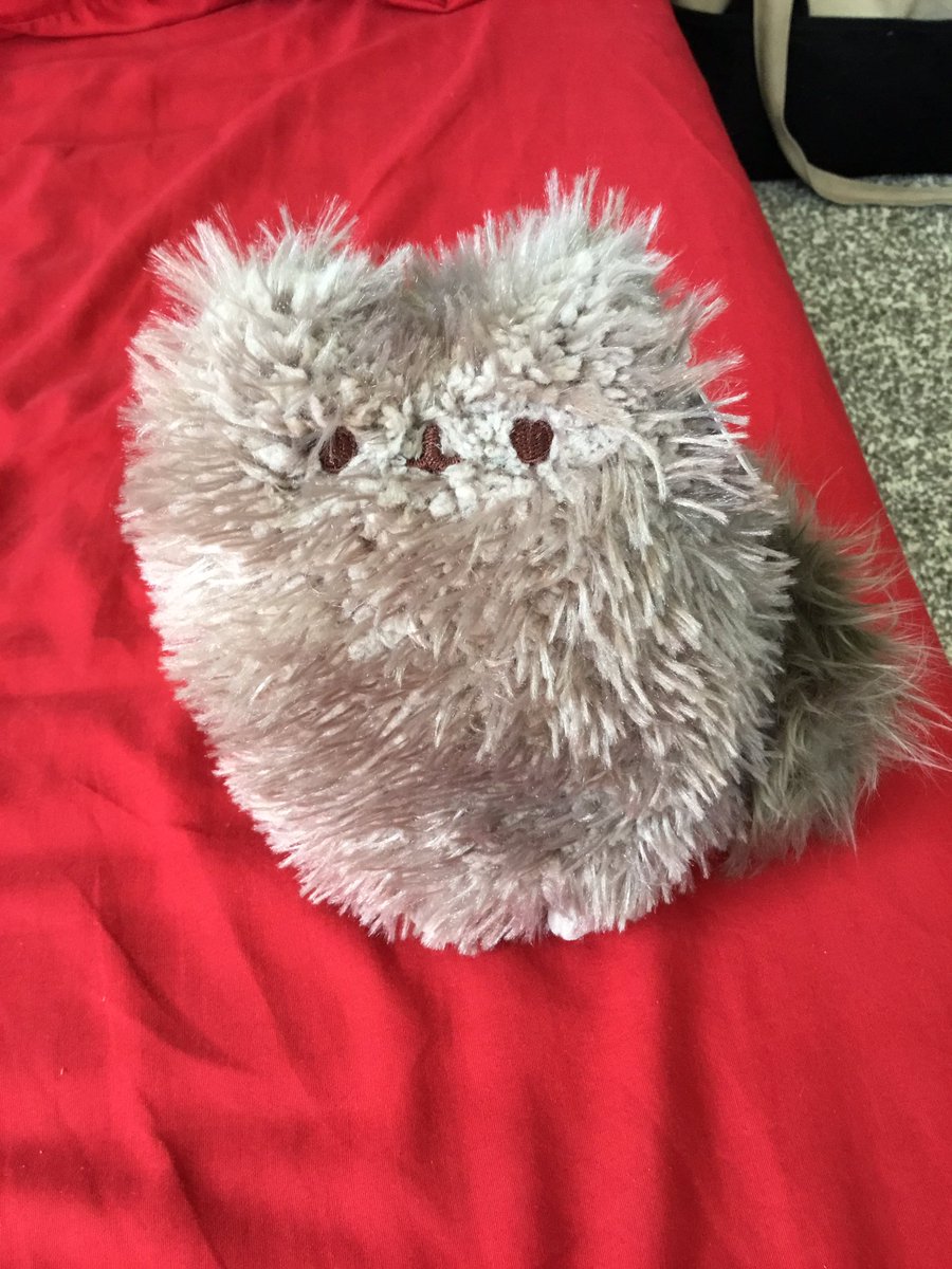 洗濯するたびに太っていっているクマさんのぬいぐるみがこちら かわいすぎる 洗ったら太るの Togetter