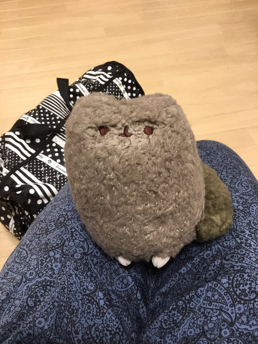 洗濯するたびに太っていっているクマさんのぬいぐるみがこちら かわいすぎる 洗ったら太るの Togetter