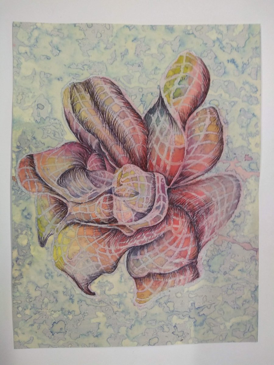 Congratulations to Freya on winning 1st prize in the Secondary Category of the <a href="/HenryMooreFDN/">Henry Moore Foundation</a> drawing competition &amp; well done to College artists who submitted their work.  Amazing to see Freya's work at the Henry Moore Studio &amp; Gardens on Saturday! tinyurl.com/yyfamf33 #BSCart