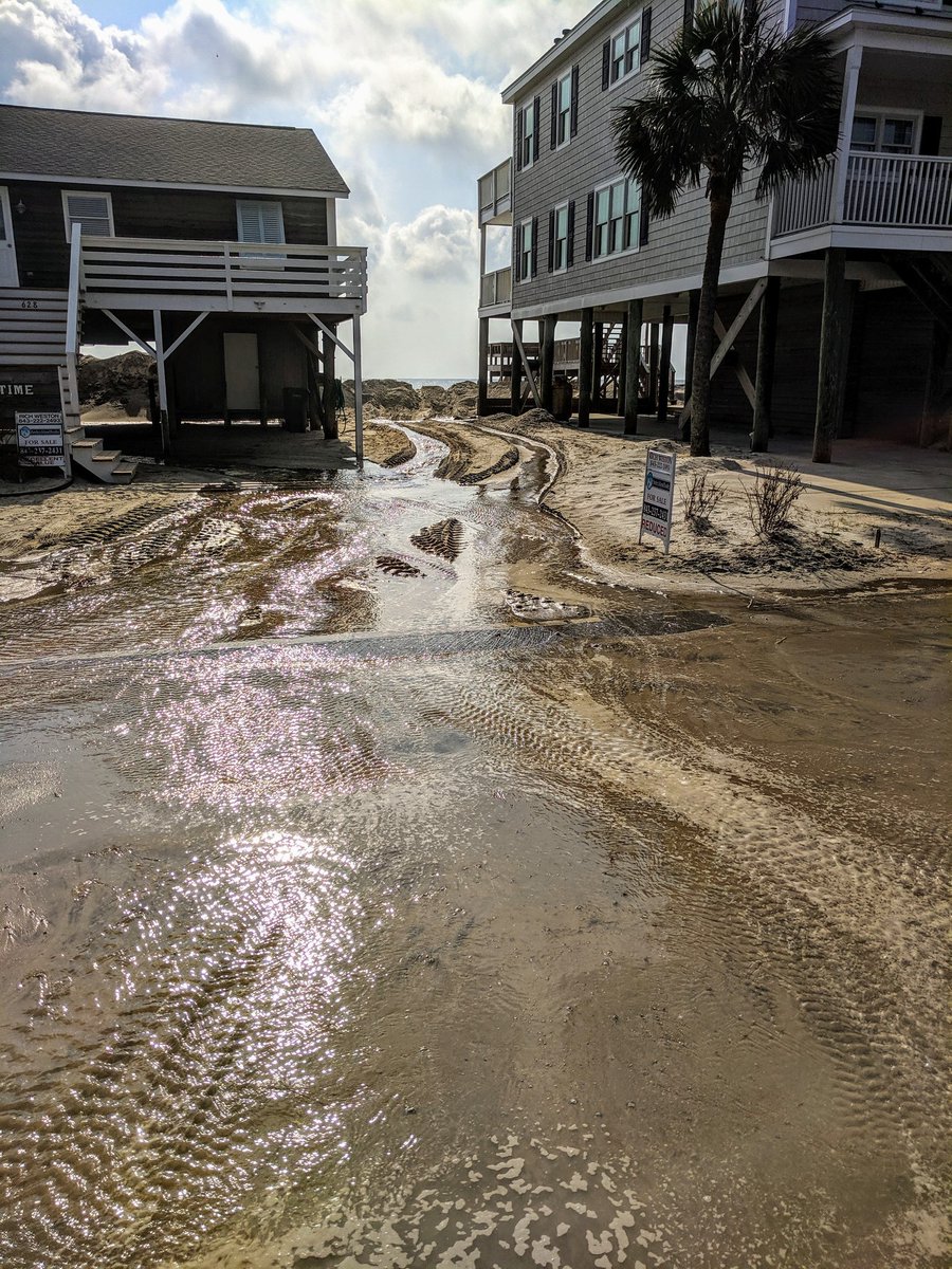 PawleysIslandPD's tweet photo. This morning's King Tide has covered most of Springs Ave &amp; washed out a few sections. Please avoid the area. @SCDOTPeeDee has been notified. https://t.co/dL55FJ8E1b
