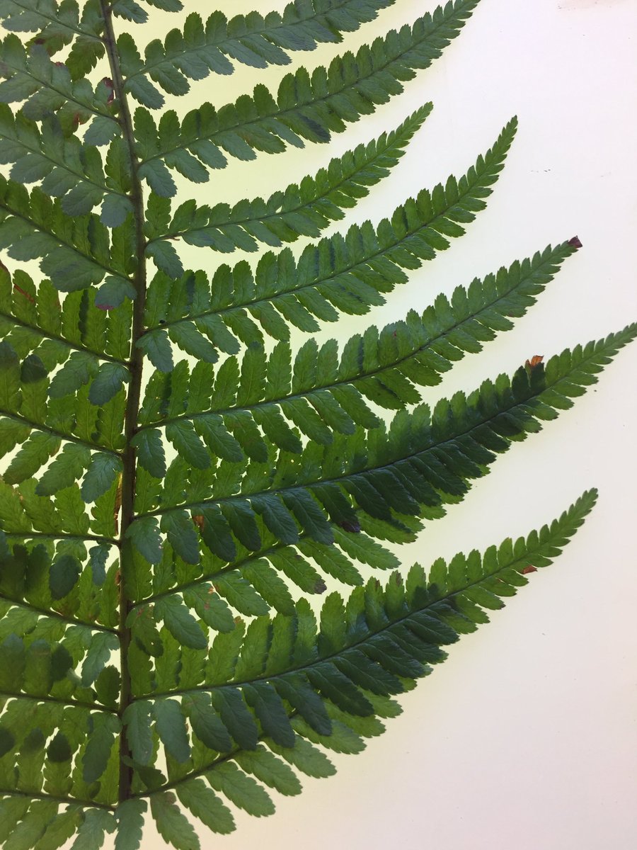 Italienskt rektorsbesök på ArtLab. Stolta att visa upp vårt stadshus och berätta om ArtLabs verksamhet.#lidskol