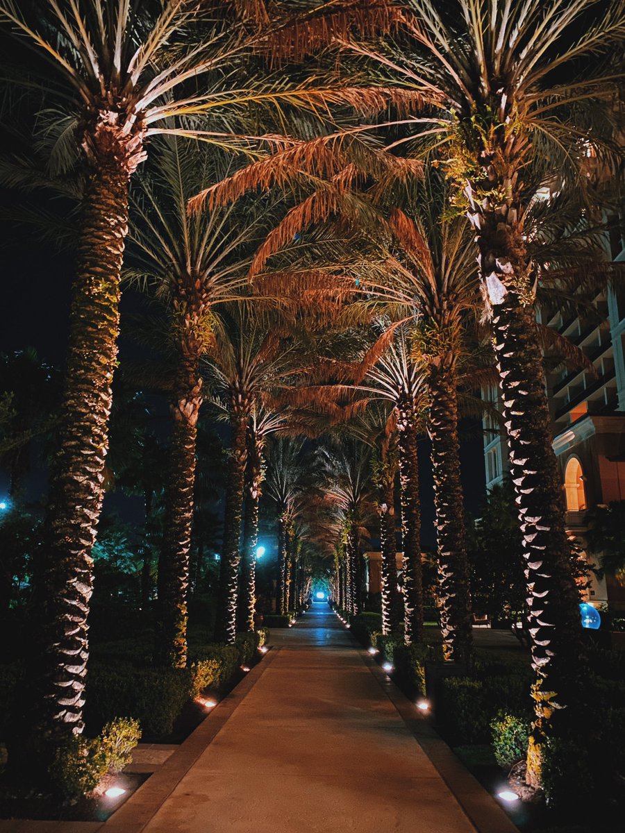 ralphchiarella's tweet photo. โ๏ธ๐ด๐๐ฝโโ๏ธ๐๐ #FSOrlando #notreadytoleave https://t.co/scNl4tXtHL