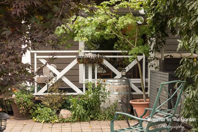 MomentsintheG's tweet photo. A cold finish to the month of September. My front porch and patio area is looking very bare after the vibrant colours provided by the containers and hanging baskets. #endofseptember #chillytemperatures #frontporch #frontpatio #momentsinthegardenphotography https://t.co/jwwxNol1WM