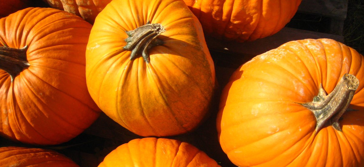 These are the exciting events happening each #October day in #Chicago. ow.ly/B45c50wqvNz