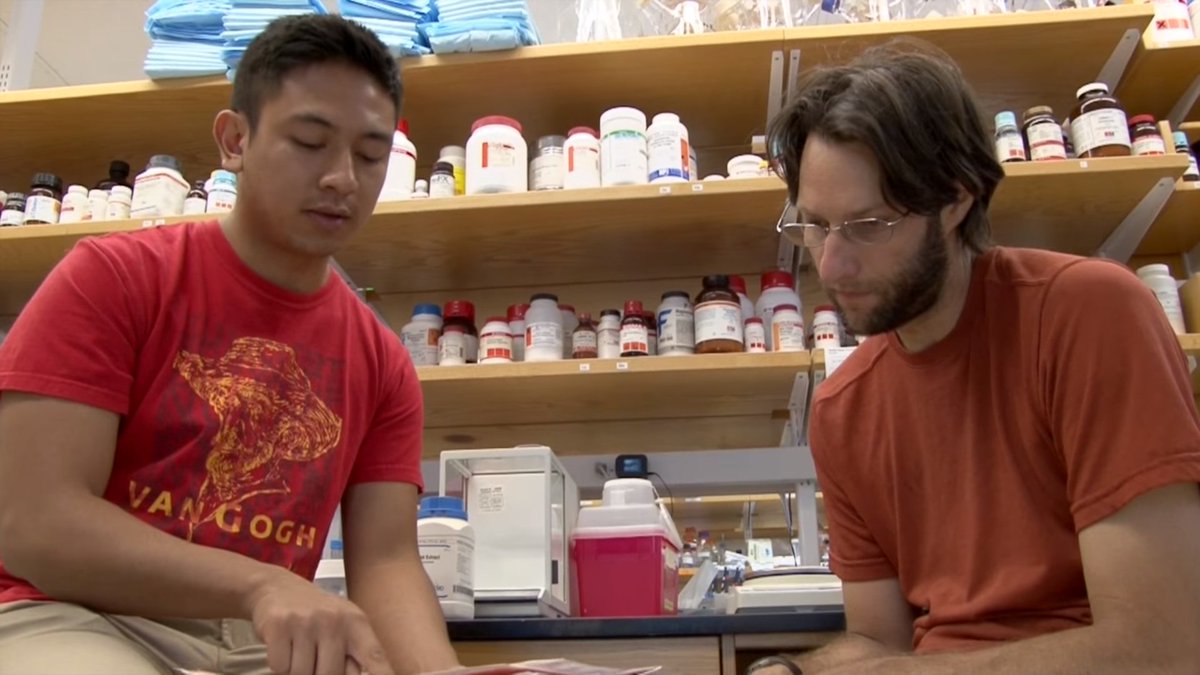 Systems Biology Jobs ─ Harvard Medical School (@sysbiojobshms) on Twitter photo At <a href="/HMS_SysBio/">HMS_SysBio</a> we encourage team science, entrepreneurship, and innovation.
We are working with the next generation of scientists, offering them mentoring opportunities.
Interested? Apply for the Assistant Professor position by 31 Oct.
🧬 academicpositions.harvard.edu/postings/9257
#SysBioJobs At <a href="/HMS_SysBio/">HMS_SysBio</a> we encourage team science, entrepreneurship, and innovation.
We are working with the next generation of scientists, offering them mentoring opportunities.
Interested? Apply for the Assistant Professor position by 31 Oct.
🧬 academicpositions.harvard.edu/postings/9257
#SysBioJobs