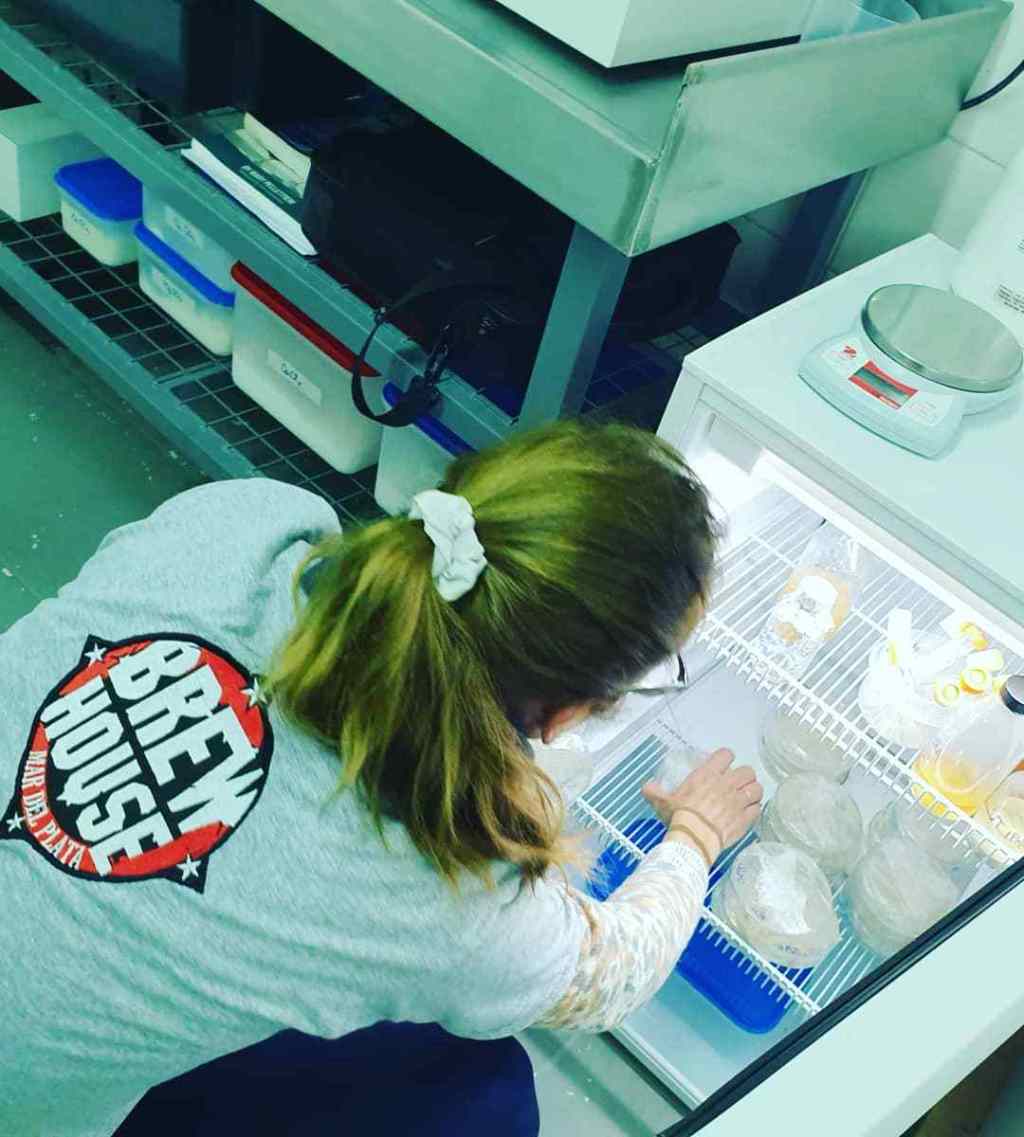 PulsoCervecero's tweet photo. “Instalamos un laboratorio del futuro para ofrecer levaduras líquidas nacionales”; Mad Max de Brewhouse Mar del Plata https://t.co/4txhACYNSf https://t.co/MaUe838hlw