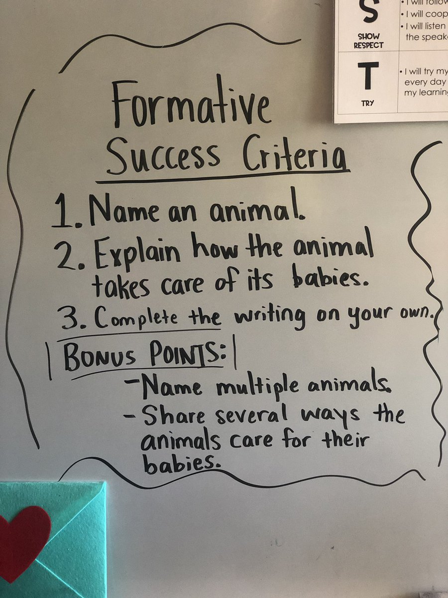 camille wheeler tweet media