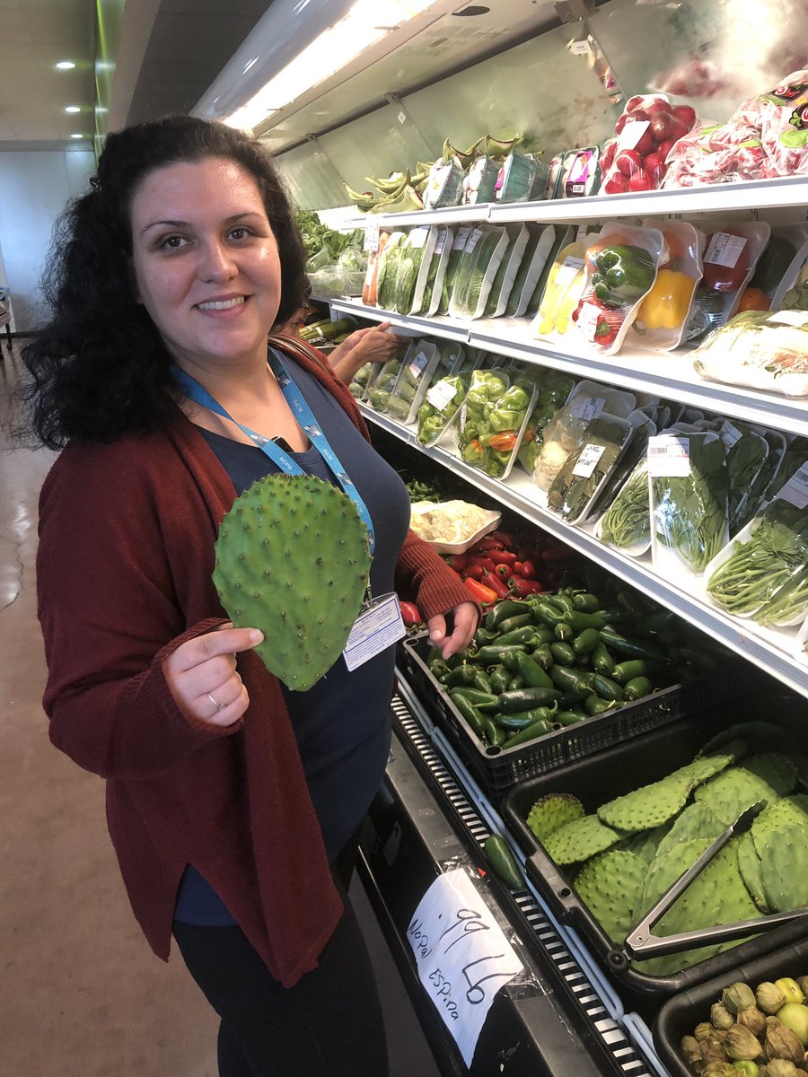 MsMueller15's tweet photo. Jalapeños @BearCreekES #cactus https://t.co/KNUIbLK3Tn