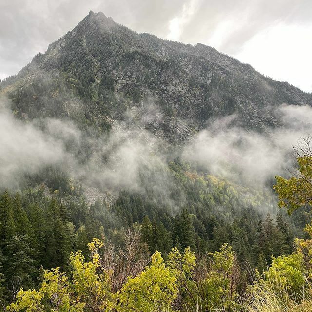 The clouds rolled low over the mountains yesterday and as they swirled, their tendrils enveloped us in the mist. It was delicious.  Sometimes the experience is the feast. #iloveautumn #mountains #sundaydrive ift.tt/2oA1GWR