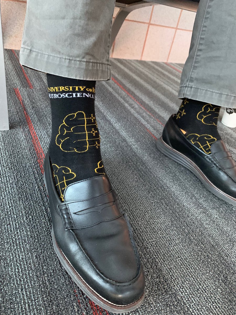 JakeNMiller's tweet image. Comfortable new INI socks. Ready for science! ⁦@UIowaNeuro⁩ Thanks ⁦@IowaParkerLab⁩ for the socks! #rainingneurons #neuroscience #research #neuroimagingresearch