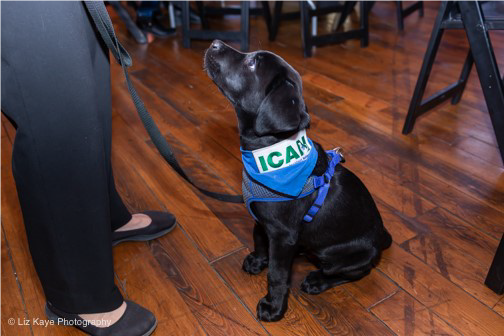 Denise will host ICAN’s Annual Wine &amp; Wags Fundraiser on Thursday, October 10 from 5–8pm. Join us to learn more about ICAN and the work they are doing with inmates to train service dogs and support individuals living with disabilities.

dkpierce.net/join-us-oct-10…