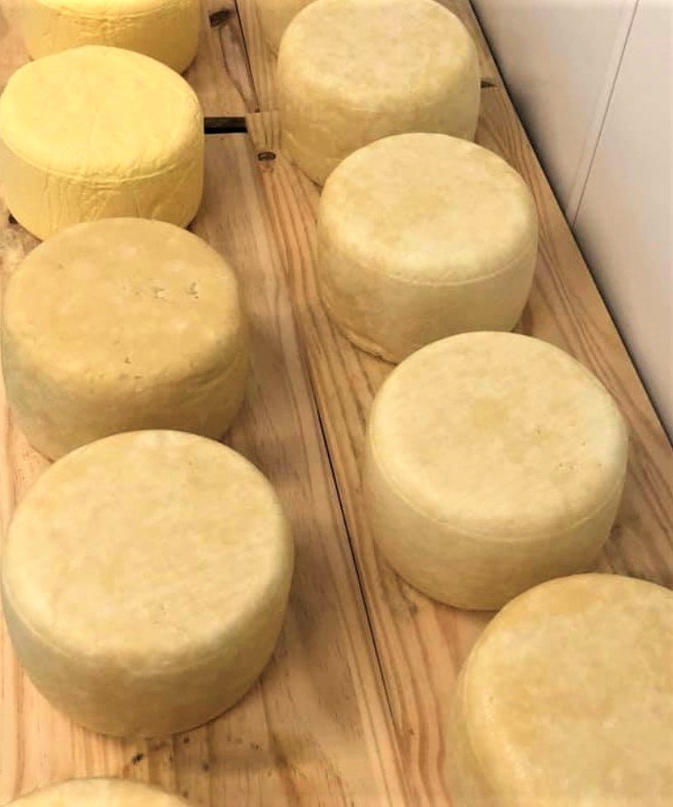 Calling all cheese makers!
If you haven't made cheese with our raw sheep mile yet - you really ought to try..
#cheese #cheeselovers 
#sheepsunday #sheep365 #makeadifference #sheep #dairy #Bucks
muddsbankdairy.co.uk