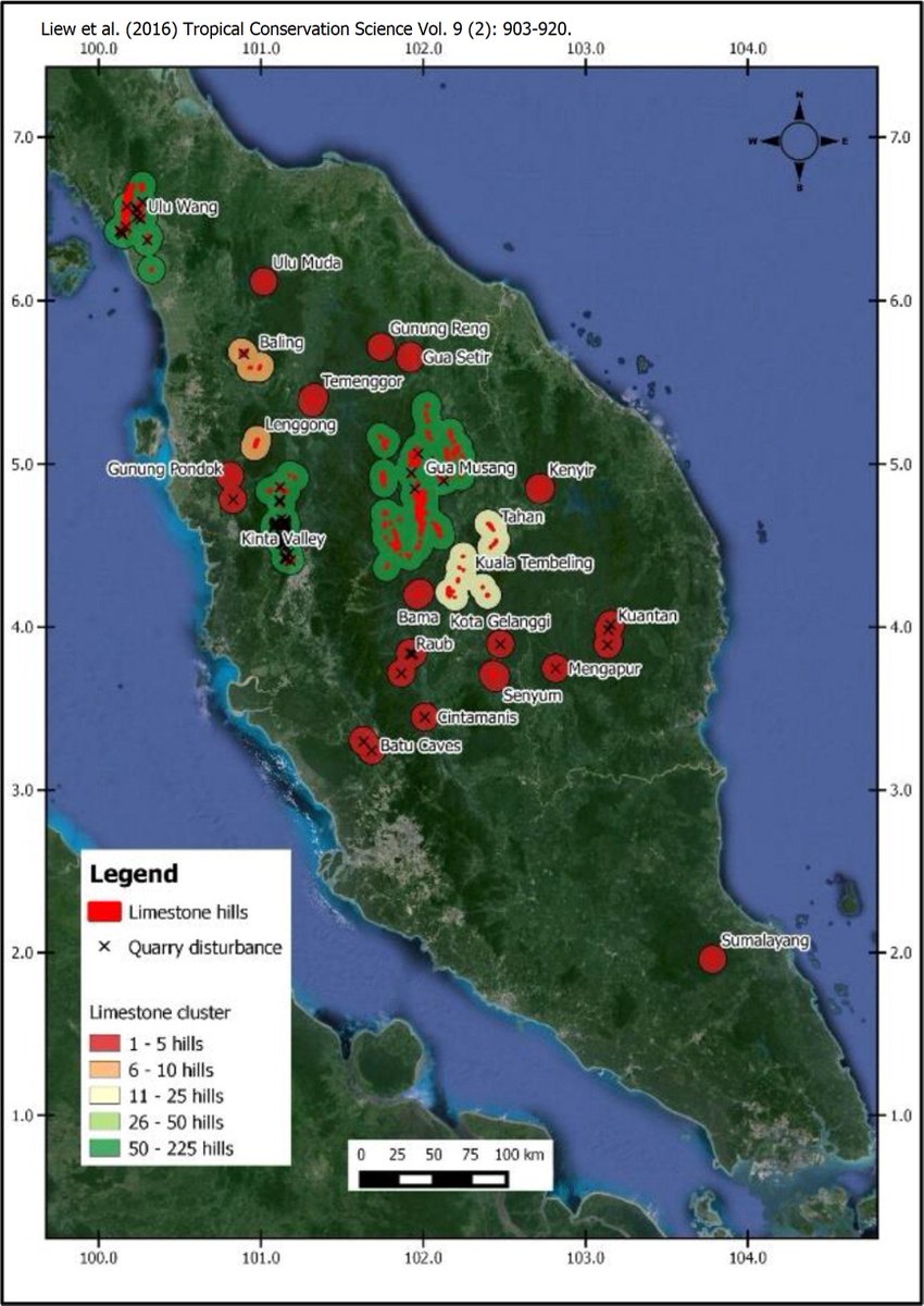 And this is why I'm working with UMS and  @Rimbaresearch colleagues to map out all limestone ecosystems and their land snails in Malaysia so that we can get a clear picture of what hills and species are at stake and what aren’t, and what should be prioritised for conservation.