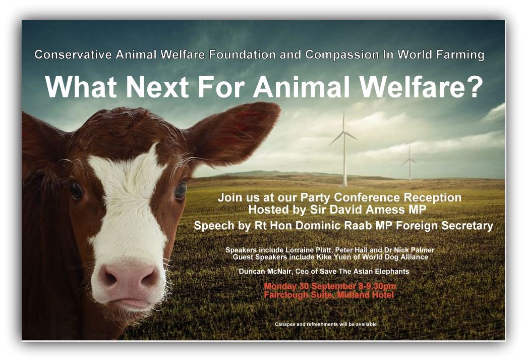 Our Patron @amessd_southend will host our #animalwelfare fringe reception with @ciwf  We are delighted Foreign Secretary @DominicRaab will join us. Our speakers include @BlueFoxCAFH  @Nick4Godalming @peterjameshall_ @worlddogallianc  & @stae_elephants Join us tonight at #CPC19