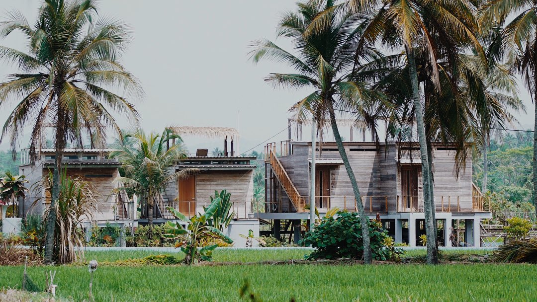 hamhigh's tweet image. Aku kira aku di Hawai