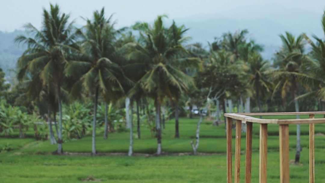 hamhigh's tweet image. Aku kira aku di Hawai