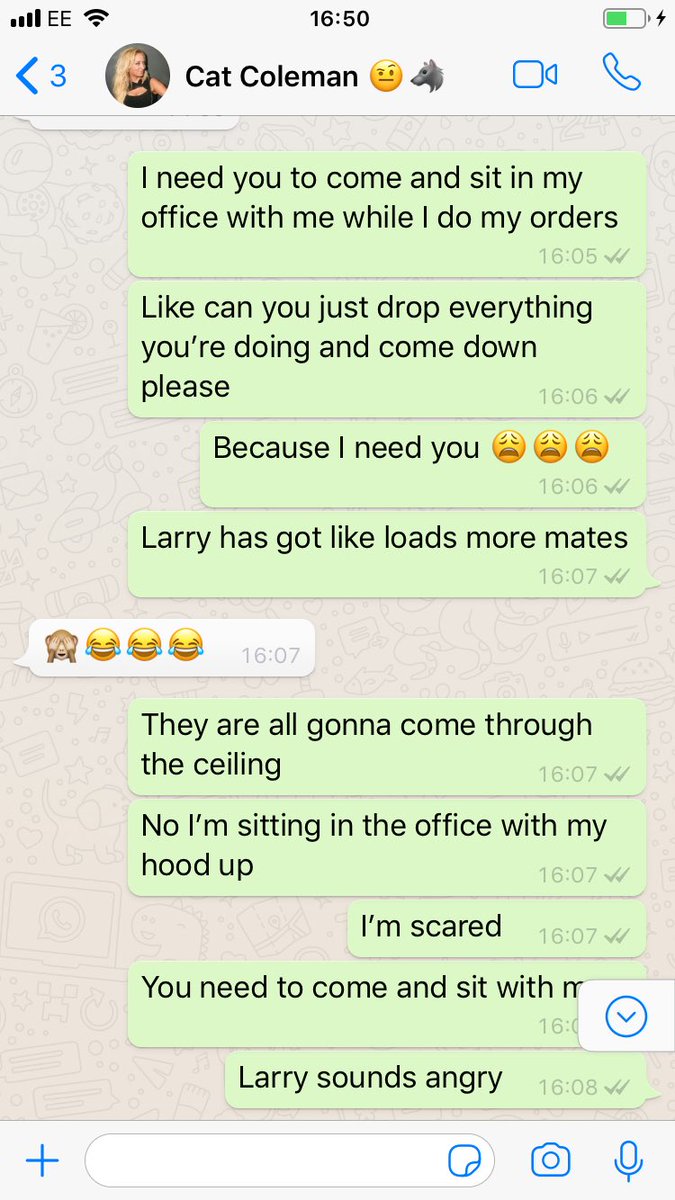 SamStylesx's tweet photo. Everyone needs a mate like Cat Coleman ❤️ ... bit of context to explain, Larry is the name I gave the rat who lives in the ceiling above our office and there is a hole in the ceiling 😩🤦🏼‍♀️ https://t.co/XcW4gcrDgI