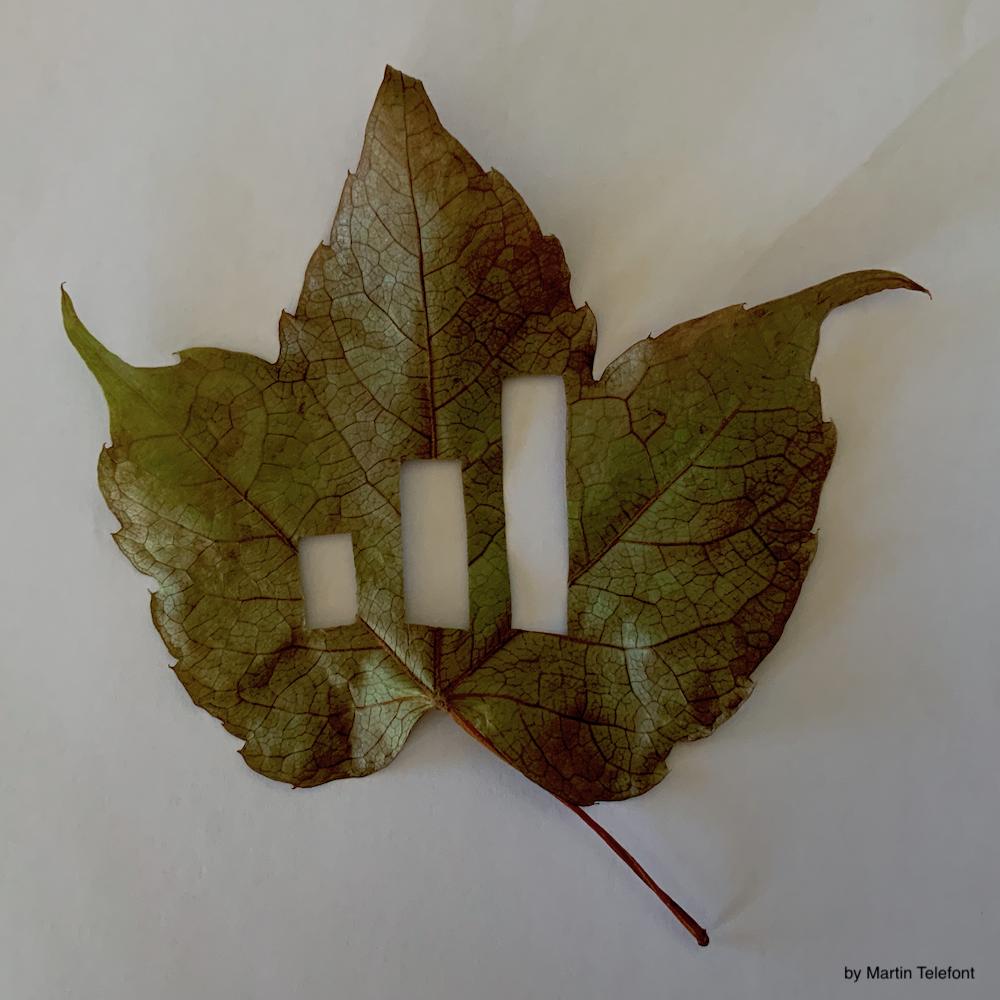 datahumorism's tweet photo. The retweet part worked, but the like part didn't. Let's call it even for this time. Here is my part of the challenge.

#autum #dataviz #fun #leafs

https://t.co/hYNLadWyjh https://t.co/EE5gUDgvD0