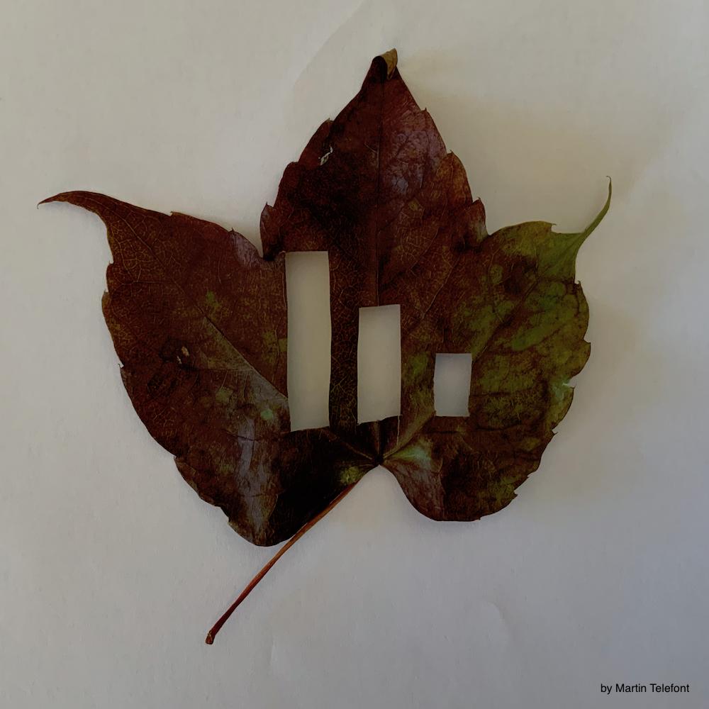 datahumorism's tweet photo. The retweet part worked, but the like part didn't. Let's call it even for this time. Here is my part of the challenge.

#autum #dataviz #fun #leafs

https://t.co/hYNLadWyjh https://t.co/EE5gUDgvD0